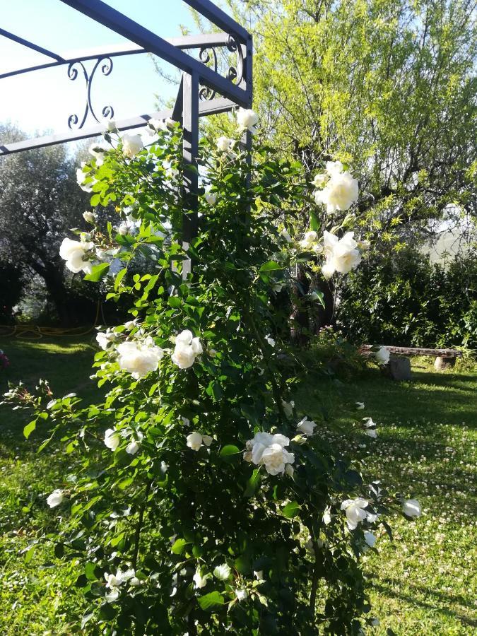 Willa Casa Marilu Santa Maria di Castellabate Zewnętrze zdjęcie
