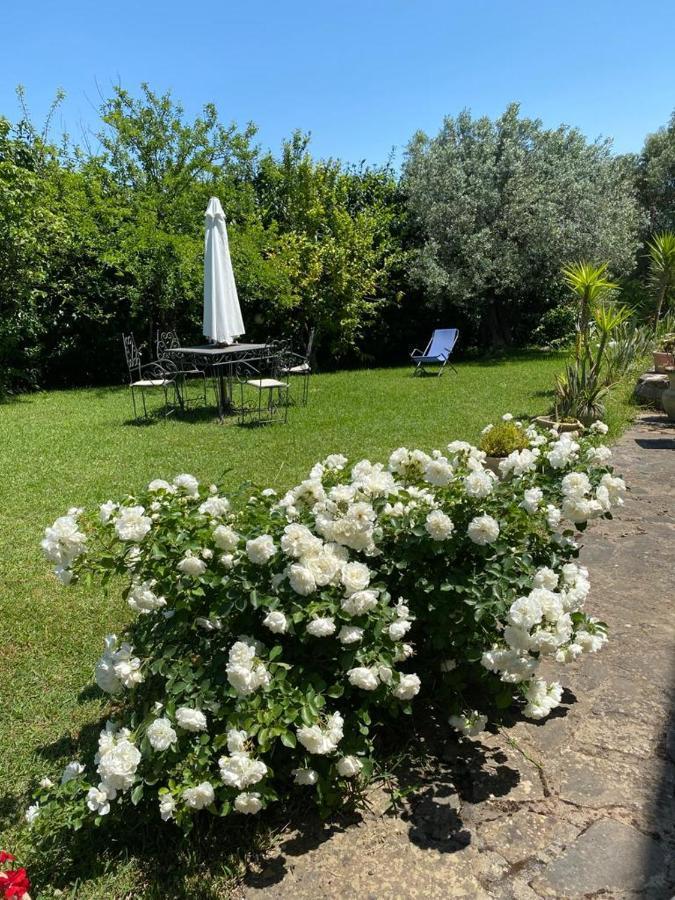 Willa Casa Marilu Santa Maria di Castellabate Zewnętrze zdjęcie